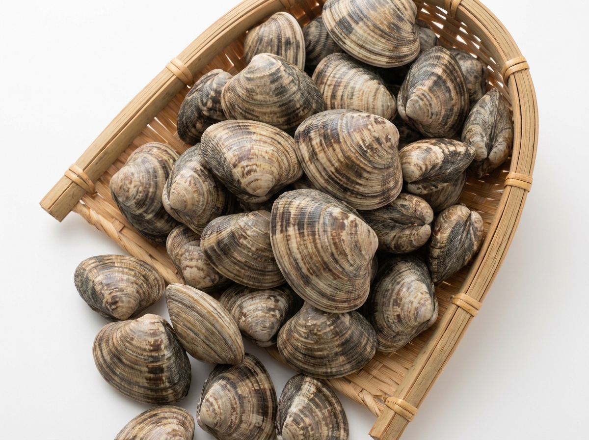 アサリの写真