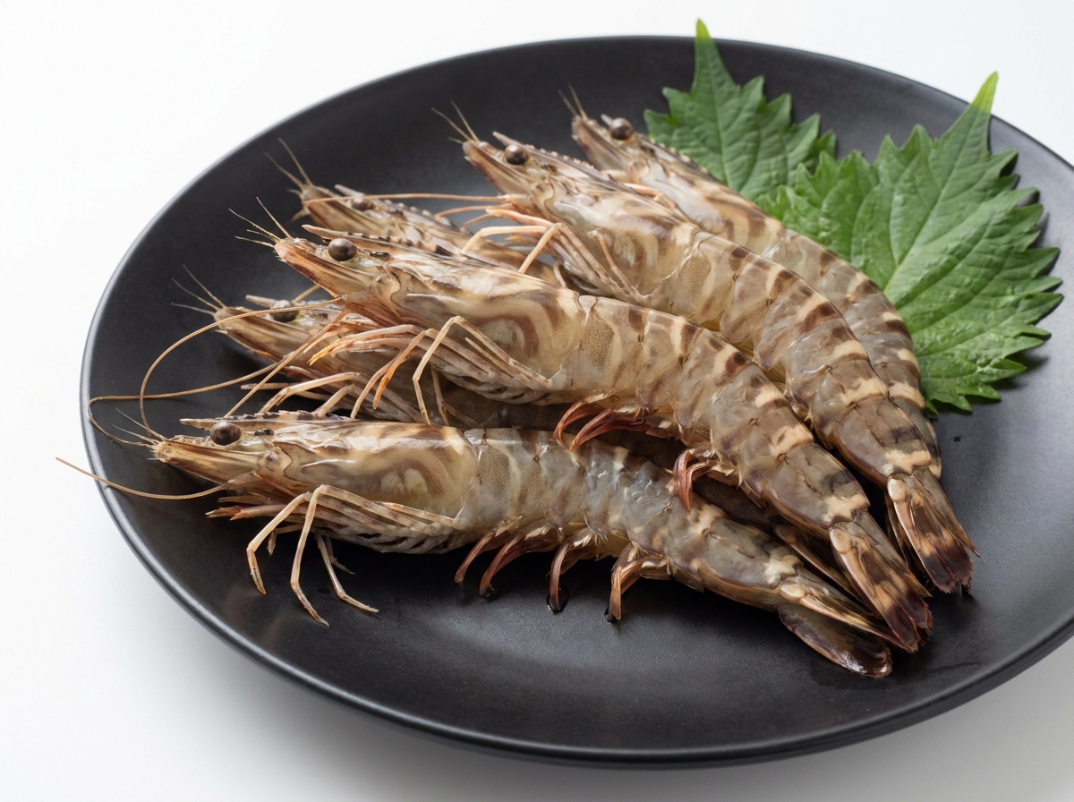 クルマエビの写真